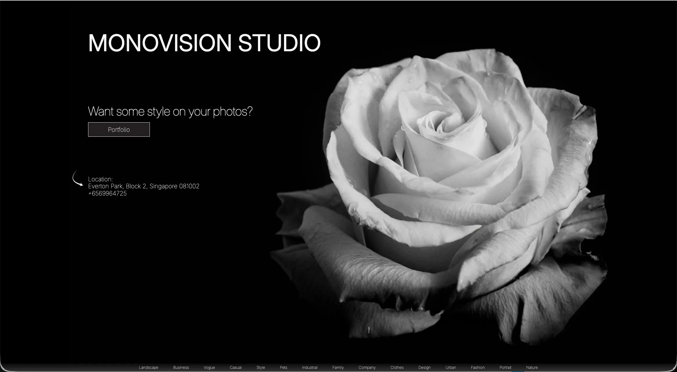 monovision website image
